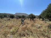 Kokkino Chorio Kreta, Kokkino Chorio: Meerblick-Grundstück mit Baugenehmigung zu verkaufen Grundstück kaufen